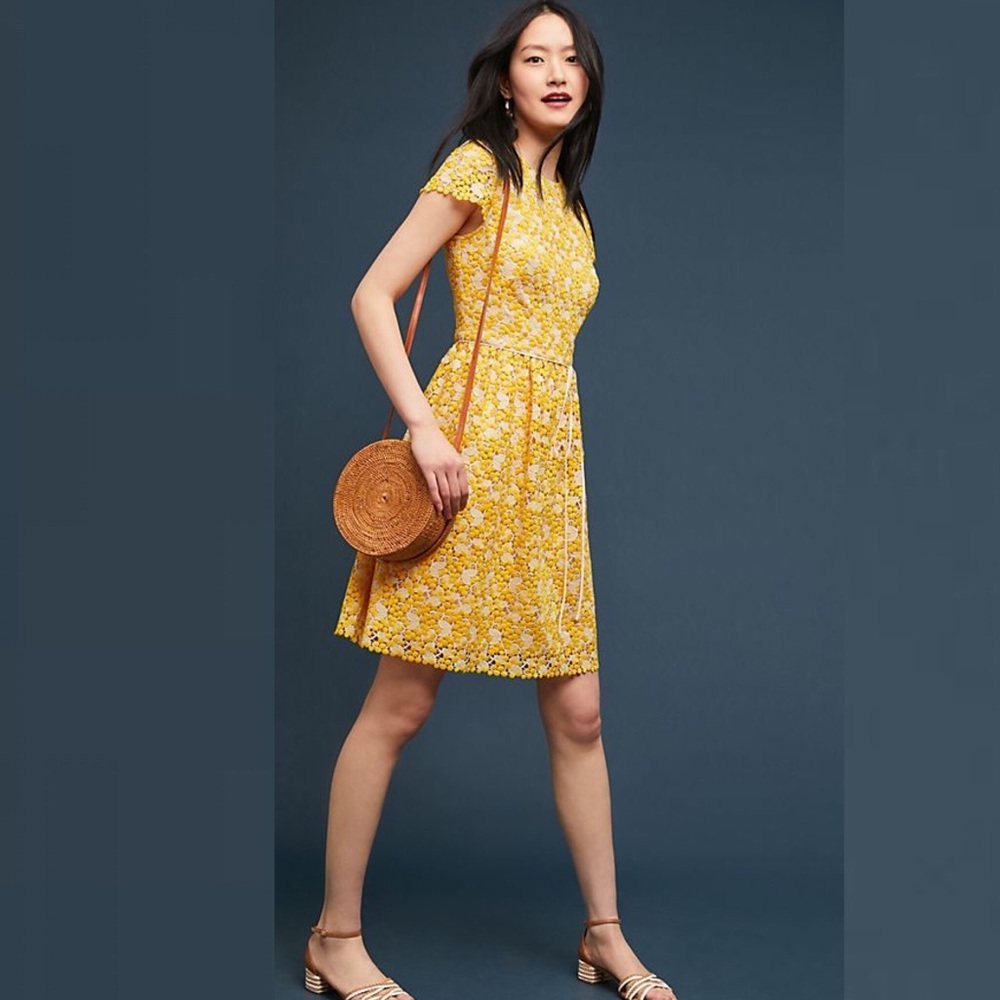 Anthro x ML Monique Lhuillier Sunny Eyelet Dress